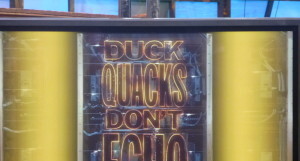 Nat Geo Gets Into Comedy With Duck Quacks Don’t Echo